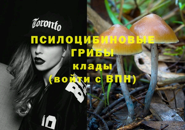 твердый Абаза