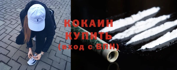 твердый Абаза