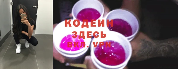 твердый Абаза