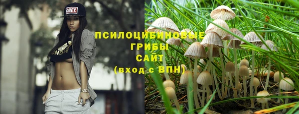 твердый Абаза