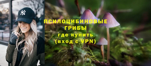 твердый Абаза