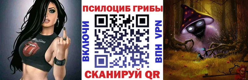 где продают Кохма Галлюциногенные грибы мицелий