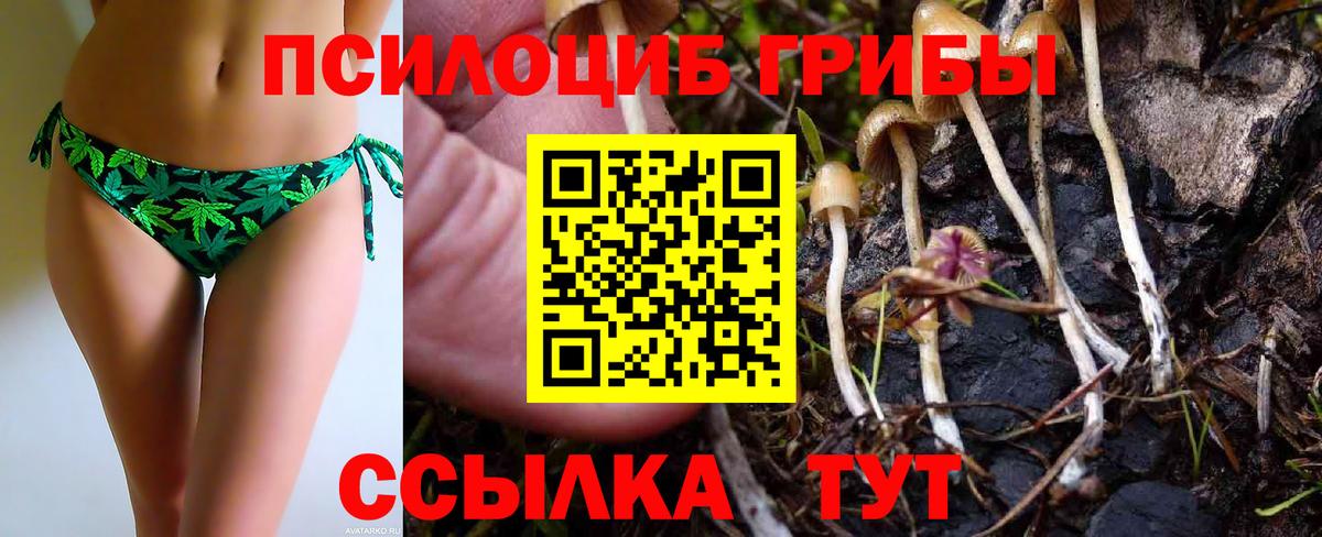 Кохма  Галлюциногенные грибы прущие грибы  Вход с VPN 