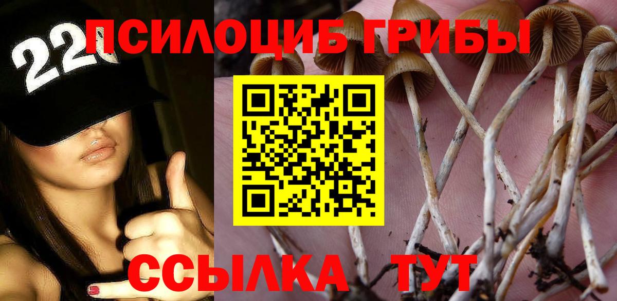 Галлюциногенные грибы мухоморы Кохма